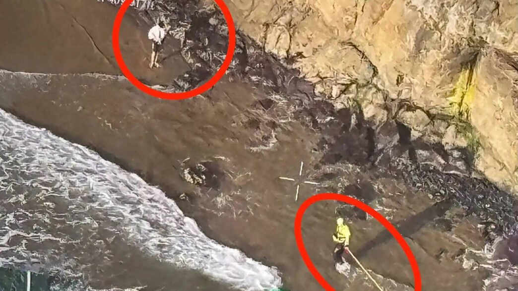 התיירים שנתקעו במפרץ התיירים שנתקעו במפרץ