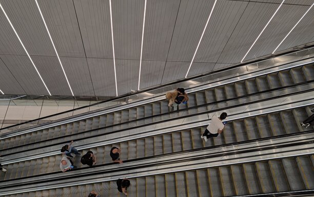 תמונות שצולמו בפיקסל 11 פרו תמונות שצולמו בפיקסל 11 פרו