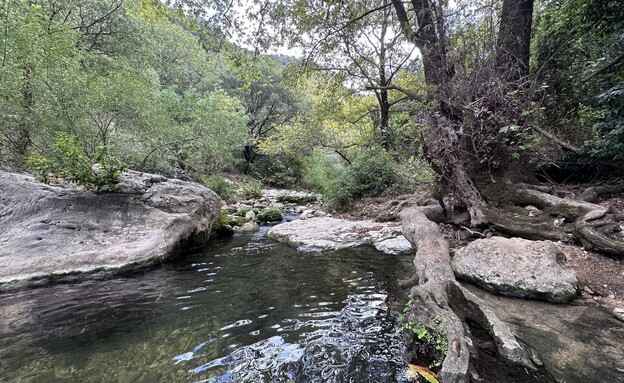 מים נחל כזיב מים נחל כזיב