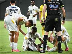 (ברני ארדוב)