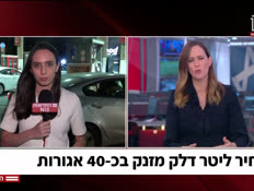 20hilidelek_vtr2_n20260924_v1 (צילום: חדשות)