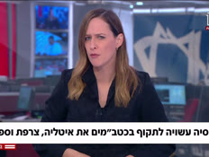 20russiaelad_vtr2_n20260924_v1 (צילום: חדשות)