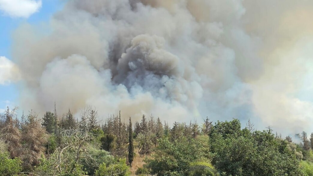 שרפה ביער חרובית שרפה ביער חרובית