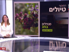 20tiyul_vtr2_n20260927_v1 (צילום: חדשות)