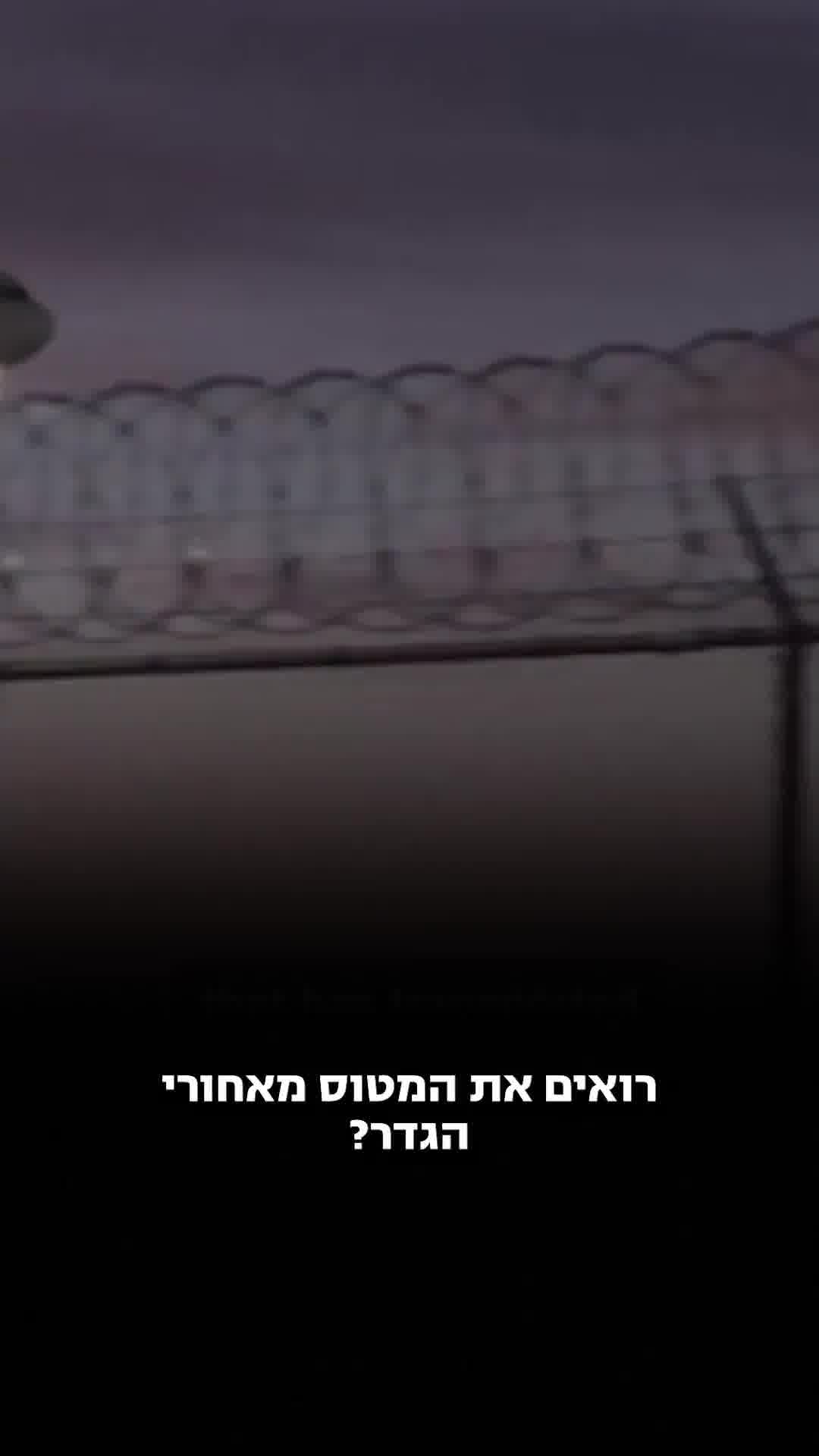 המבצע הדיפלומטי הענק: סין שלחה שני דובי פנדה לארצות הברית