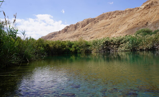 עינות צוקים עינות צוקים