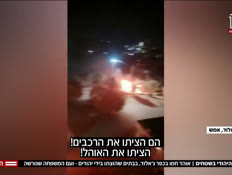 20terror_vtr2_n20260929_v1 (צילום: חדשות)