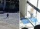 בן שנה וחצי ברח מהגן – והגיע לבדו לעבודה של אמו