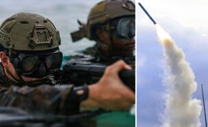טשמ (צילום: Lance Cpl. Victor Gurrol/U.S. Marine Corps via Getty Images)