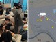 תמה תקרית פליי-דובאי: המטוס ועליו הנוסעים הישראלים נחת בישראל – יחלו תחקורים ותשאול הנוסעים