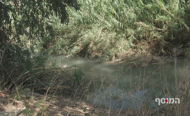 ירקון