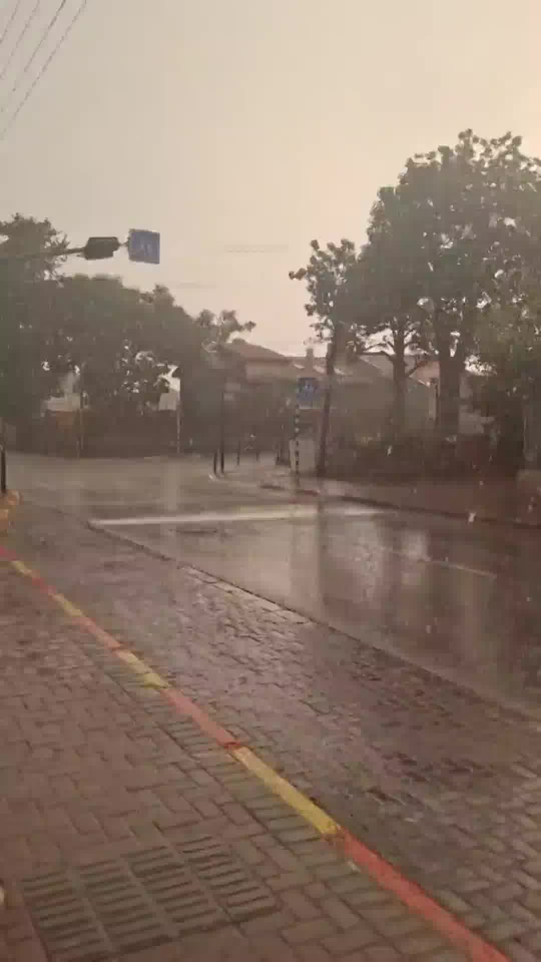 גשם חזק החל לרדת באזור השרון