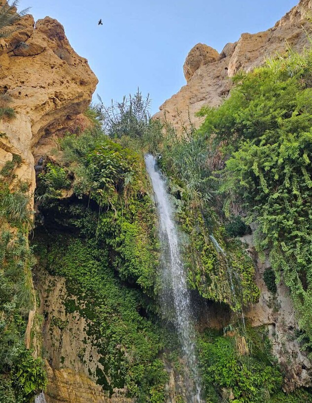 מפל דוד