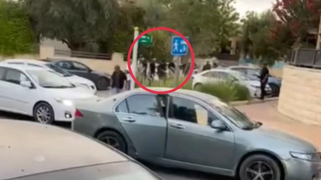 הקטטה במיתר הקטטה במיתר