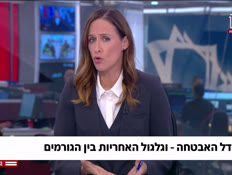 20din_vtr2_n20261004_v1 (צילום: חדשות)