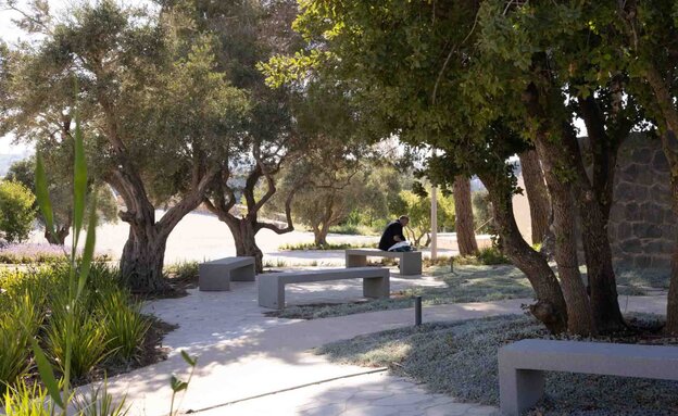 חידוש גן האמנות, סטודיו אורבנוף 0 חידוש גן האמנות, סטודיו אורבנוף 0