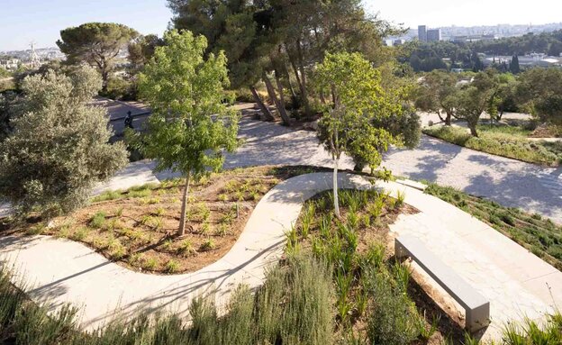 חידוש גן האמנות, סטודיו אורבנוף חידוש גן האמנות, סטודיו אורבנוף