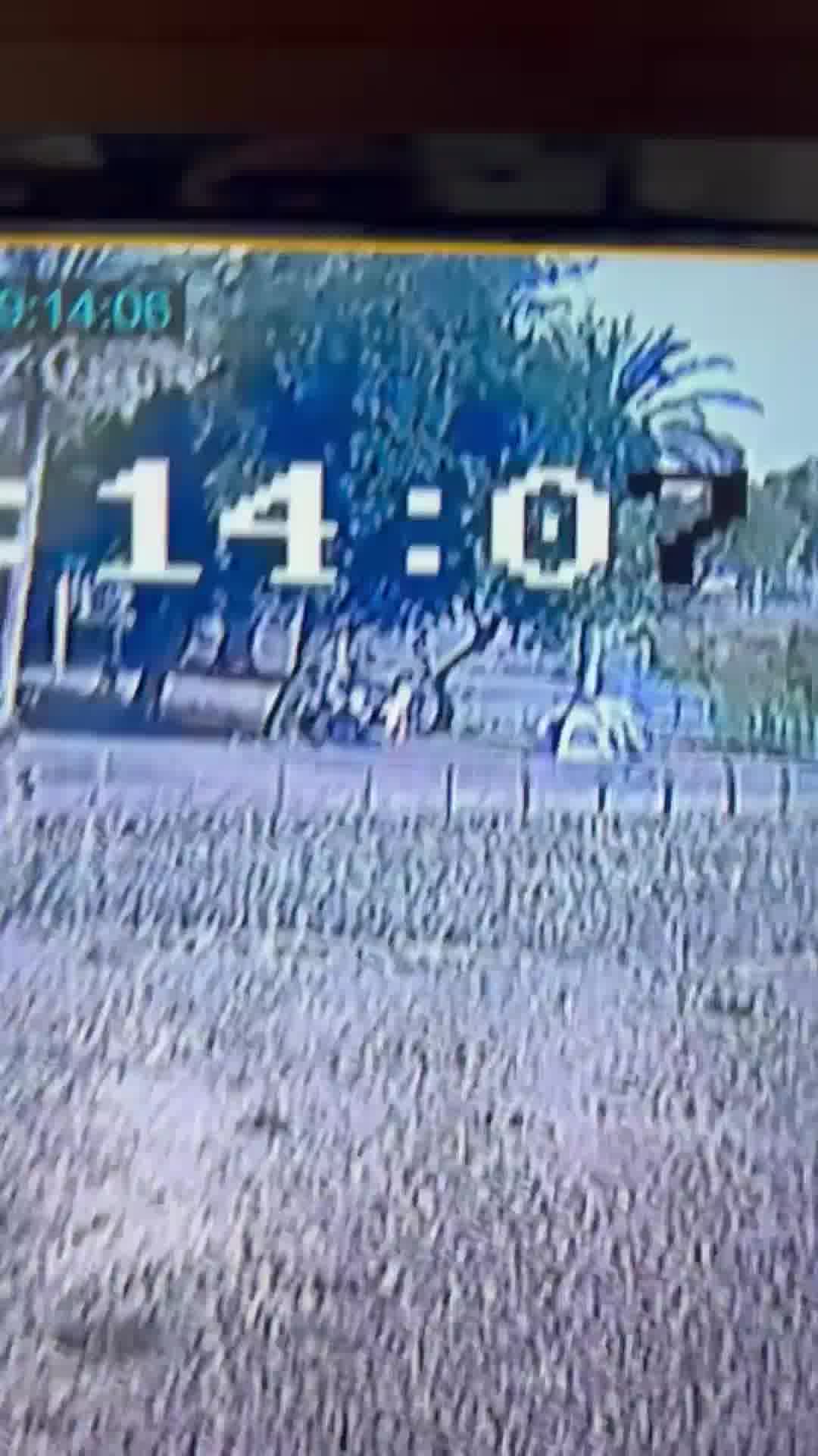 תיעוד קשה: נופשים בכנרת נפצעו בעקבות גזייה שהתפוצצה, 4 אנשים נפגעו, בן 18 במצב בינוני