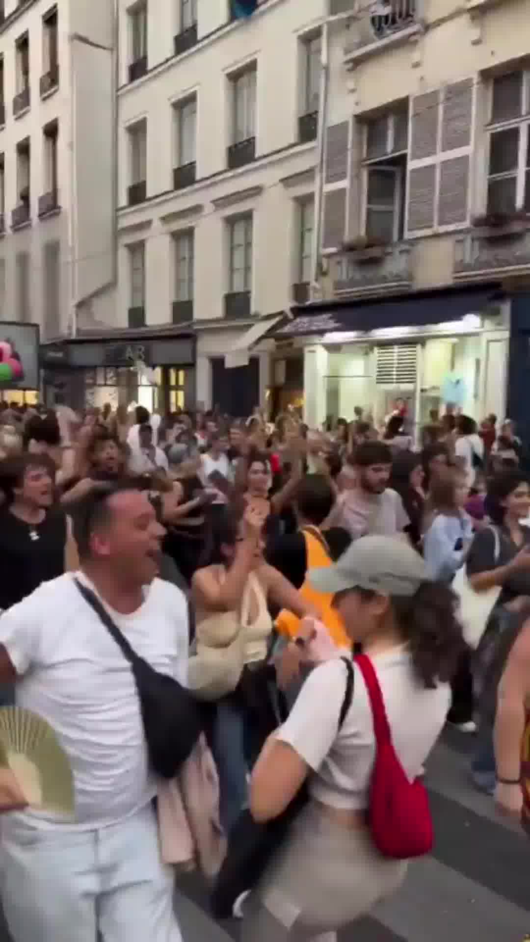 בעזה היו מקבלים אותם? חברי הקהילה הגאה מניפים דגלי פלסטין במצעד הגאווה בפריז