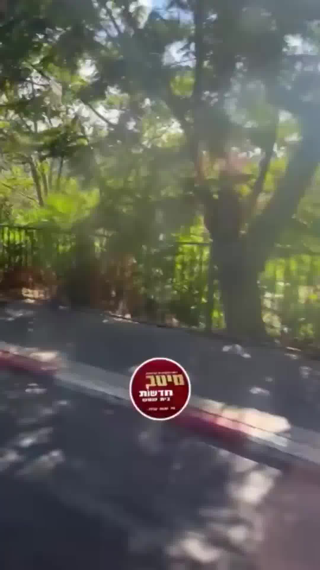 שטח גדול של צמחייה עולה באש בבית שמש - צוותי כיבוי והצלה במקום
