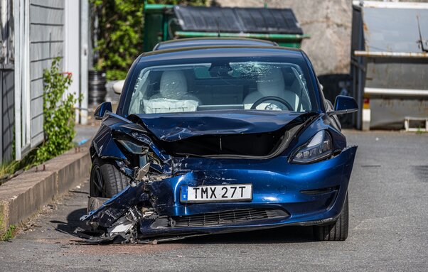 טסלה הרוסה (צילום: Trygve Finkelsen, shutterstock)