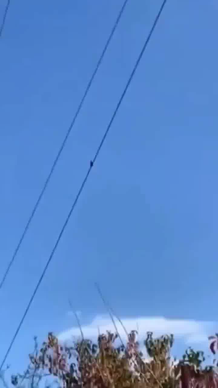 בינתיים באוקראינה... אוגר נתקע על קו מתח גבוה. כבאים הוזעקו לחלצו