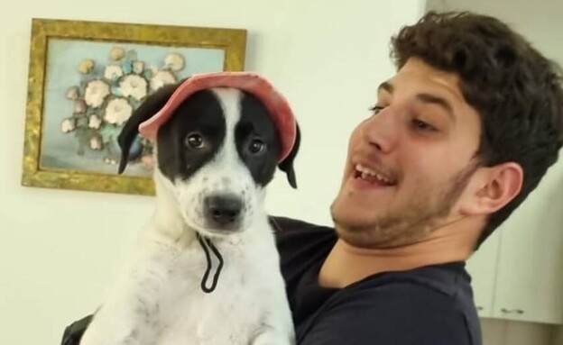 עמית ברג'יל עמית ברג'יל