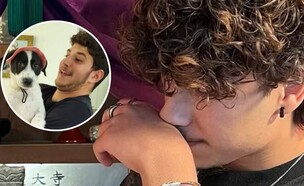 עמית ברג׳יל  (צילום: instagram)