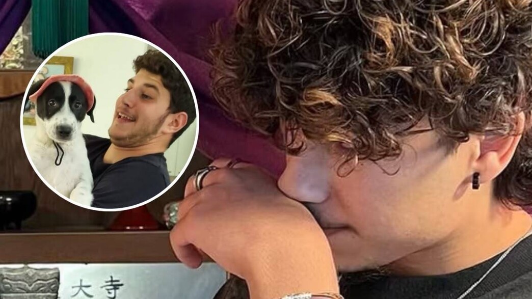 עמית ברג׳יל עמית ברג׳יל