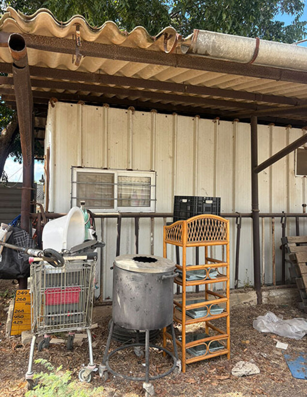 הזירה בעין איילה הזירה בעין איילה