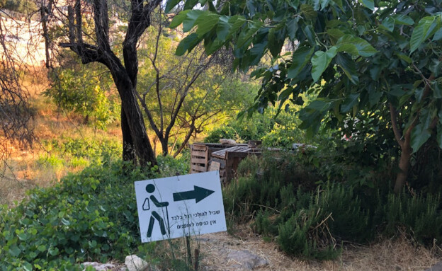 שביל הבוסתן עין כרם ירושלים שביל הבוסתן עין כרם ירושלים