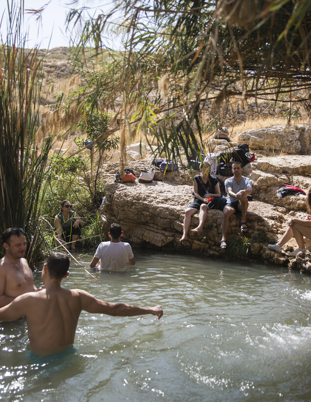 שמורת הטבע עין פרת