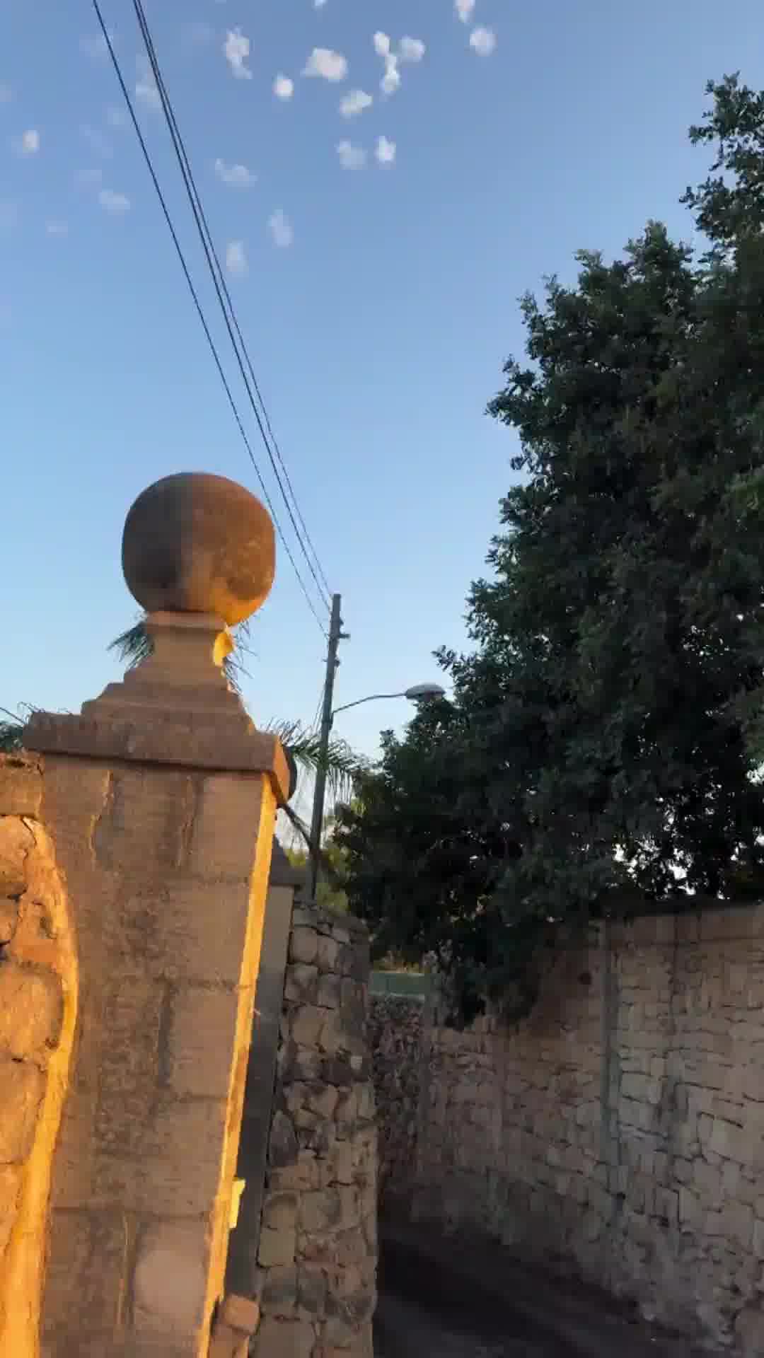 תיעוד מאיראן: משמרות המהפכה בוחנים מוקשים שמתפוצצים באוויר - בדומה לאלה שנצפו בהפלת ה-F-15