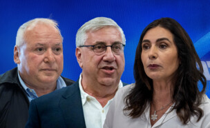 מירי רגב, יעקב ברדוגו, דודי אמסלם (צילום: יונתן זינדל, חיים גולדברג, פלאש 90)