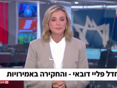 20fly_vtr2_n20261009_v1 (צילום: חדשות)