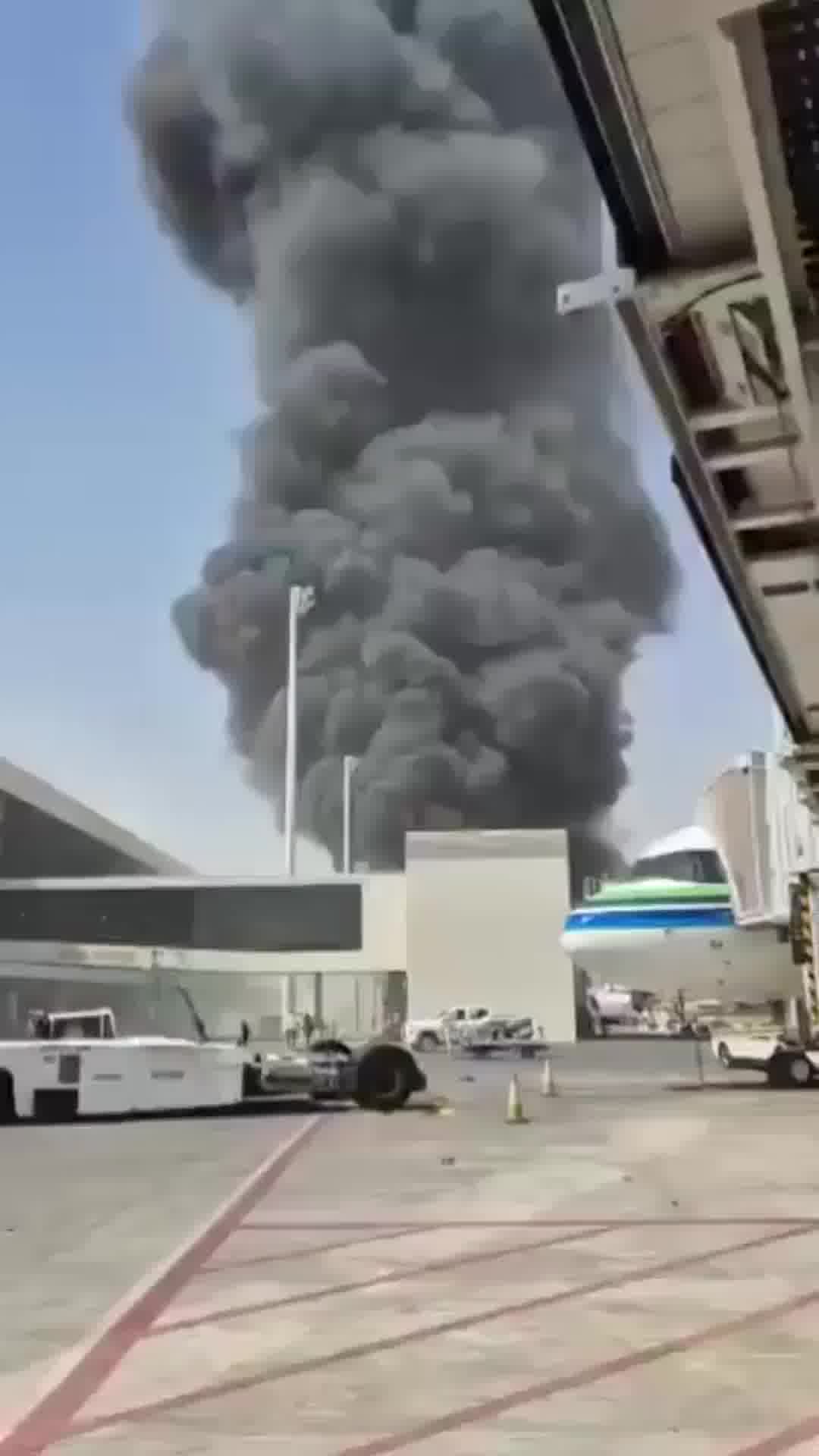 דיווח: החות'ים הציבו להם למטרה לנתק את ערב הסעודית מקשרי התעופה האוויריים עם שאר העולם