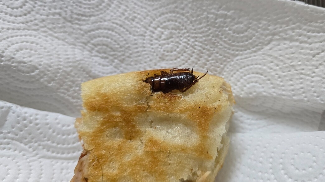 ג'וק בתוך פיצה ג'וק בתוך פיצה