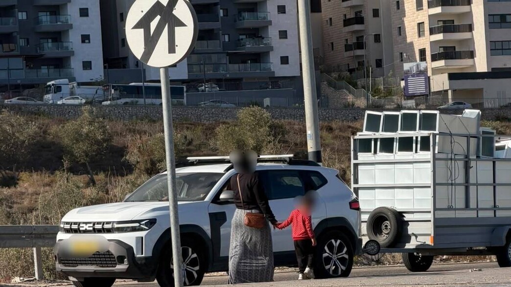 התיעוד מהצפון התיעוד מהצפון