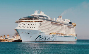 Odyssey of the Seas (צילום: יחסי ציבור)