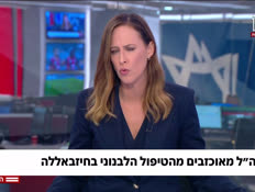 20nirlebanon_vtr2_n20261012_v1 (צילום: חדשות)