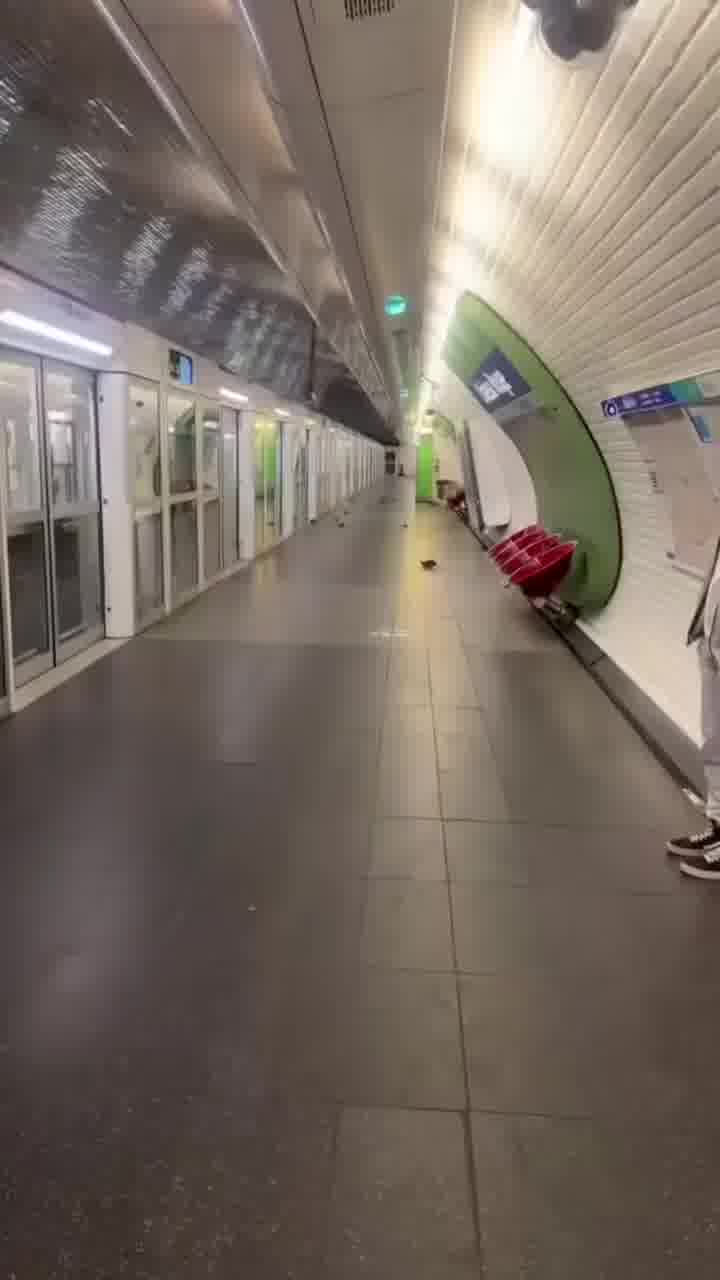 מצב החולדות ברכבת התחתית בפריז