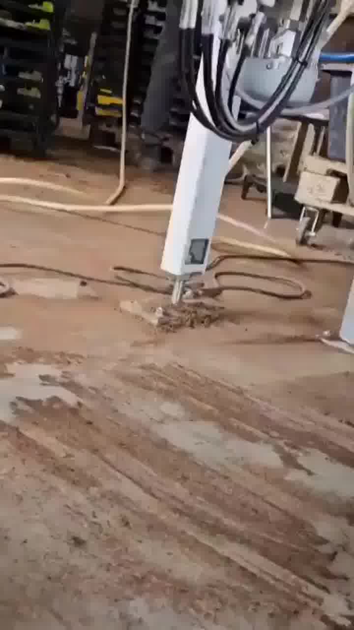 הידעתם? הצרעה המזרחית מנפנפת בכנפיים שלה כ-100 עד 125 פעמים בשנייה