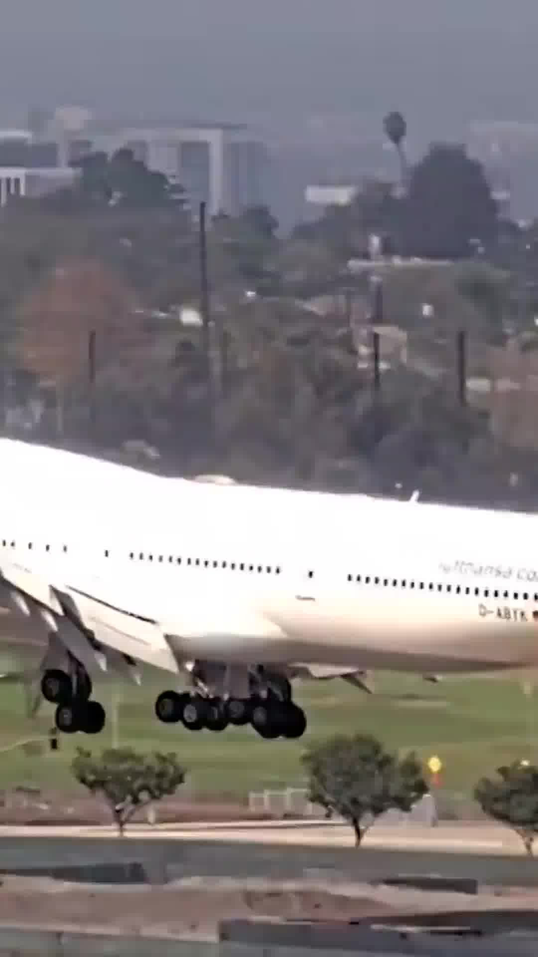 מטוס לופטהנזה כמעט פגע בזנבו במסלול - והמריא שוב ברגע האחרון: ניסיון נחיתה חריג בלוס אנג'לס