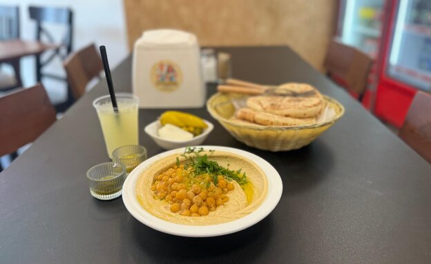 חומוס גרגירים של החומוסאים. חדרה חומוס גרגירים של החומוסאים. חדרה