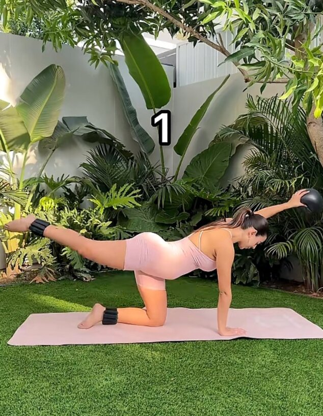 מציצים אנג'ל ברנס חצר 2 מציצים אנג'ל ברנס חצר 2
