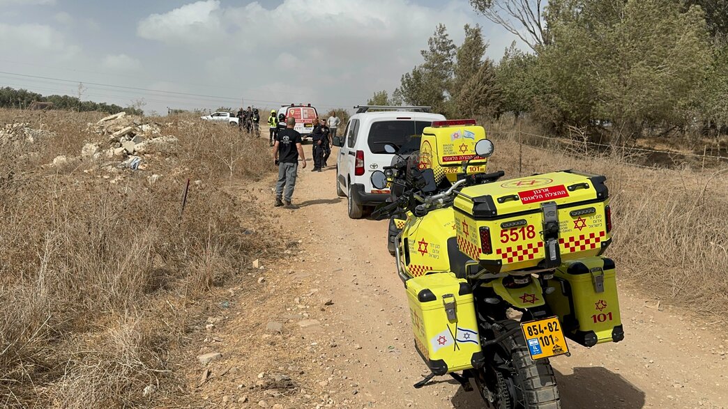 זירת מציאת הגופה ביער לביא זירת מציאת הגופה ביער לביא