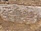 חרש את האדמה מול הבית – ומצא פסלי ענק של פרעה