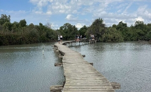 גשר עין אפק  (צילום: הגר לוז)