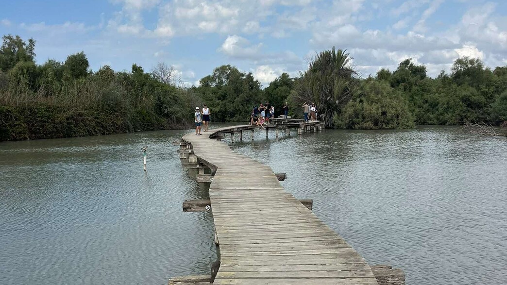 גשר עין אפק גשר עין אפק