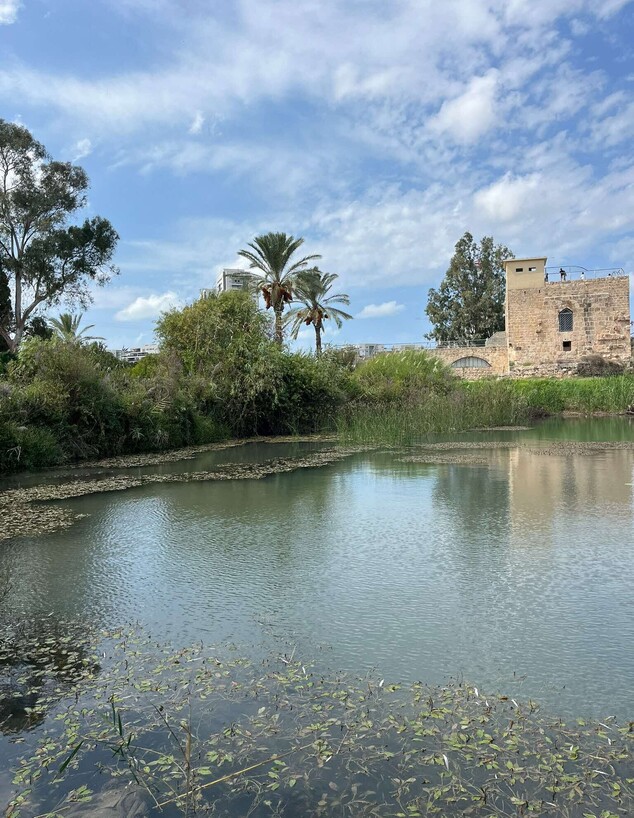 טחנת קמח עין אפק טחנת קמח עין אפק